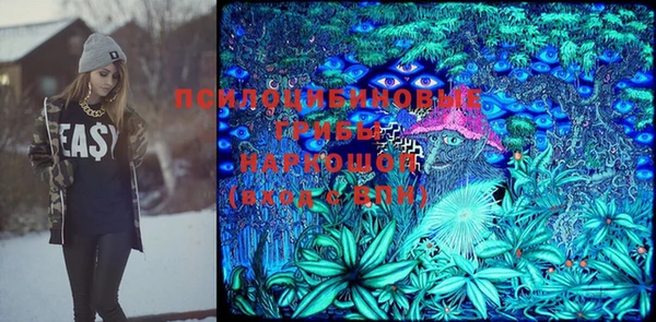 МДПВ Аркадак