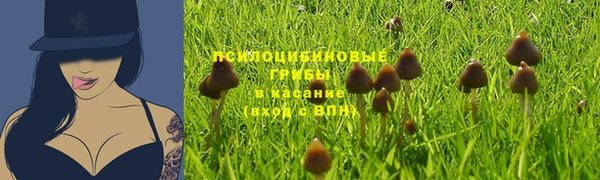 трава Армянск