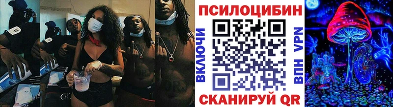 Псилоцибиновые грибы прущие грибы Губаха
