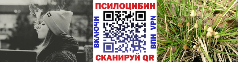 Псилоцибиновые грибы ЛСД  где можно купить   Губаха 